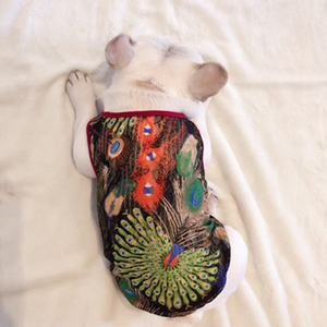 标体宠物衣服法斗背心夏季狗狗服饰网眼透气潮牌薄款巴哥犬