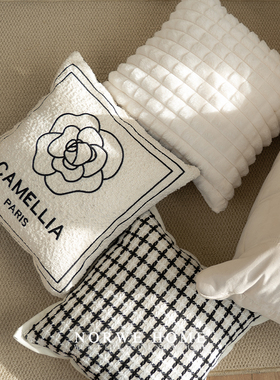 抱枕轻奢法式小香风枕套靠背垫客厅沙发靠枕白色靠垫山茶花飘窗