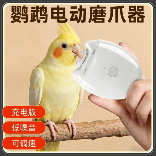 鹦鹉电动磨爪器鹦鹉专用磨甲小太阳磨脚磨牙磨嘴神器指甲打磨器