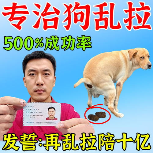 狗狗上厕所定点排便诱导剂训练狗狗大小便喷剂防止狗乱拉尿神器y