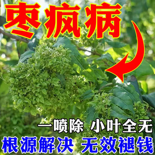 枣树专用药小叶病枣疯病全治防缩果裂果丛枝扫帚火龙病毒病杀菌剂