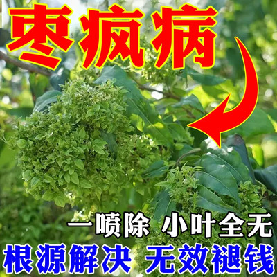 枣树专用药小叶病枣疯病全治防缩果裂果丛枝扫帚火龙病毒病杀菌剂
