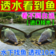 德国技术 钓鱼看漂专用偏光眼镜男射鱼捕鱼湖泊找鱼探水底神器