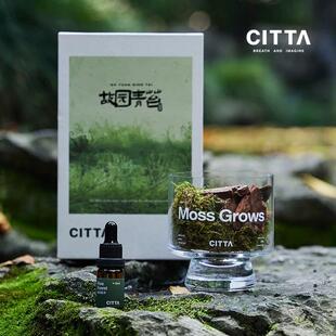 CITTA 西苔故园青苔系列松木无火香薰礼盒扩香石摆件香氛高级感