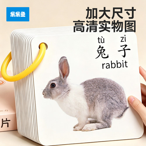 乐乐鱼可水洗早教认知卡片