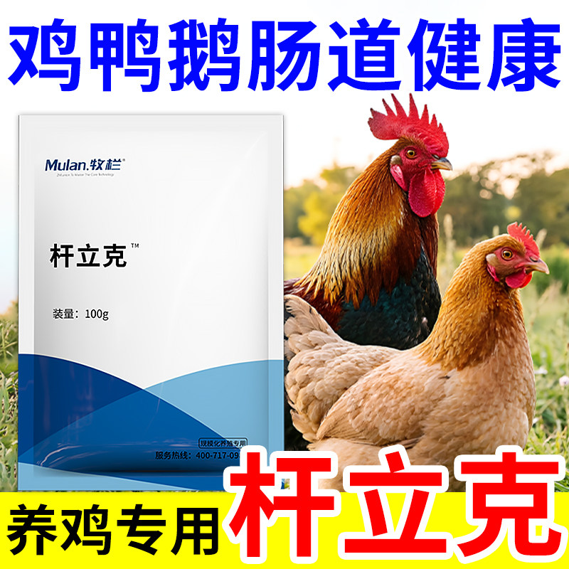 牧栏鸡鸭鹅饲料添加剂养鸡专用小饲料添加剂