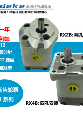 高压齿轮泵P101RP01G P102/127/135/104/5/6/1077RP01 P109RP01G