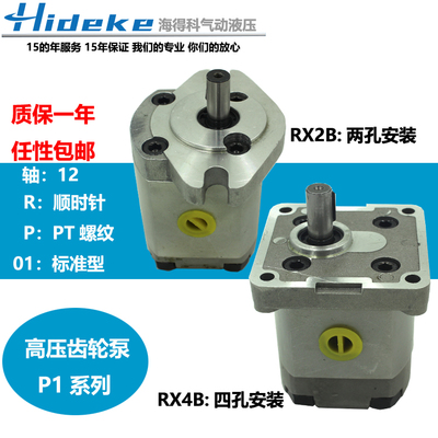 高压齿轮泵P101RP01G P102/127/135/104/5/6/1077RP01 P109RP01G