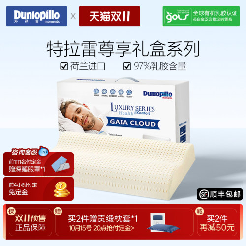 邓禄普特拉雷荷兰波浪枕