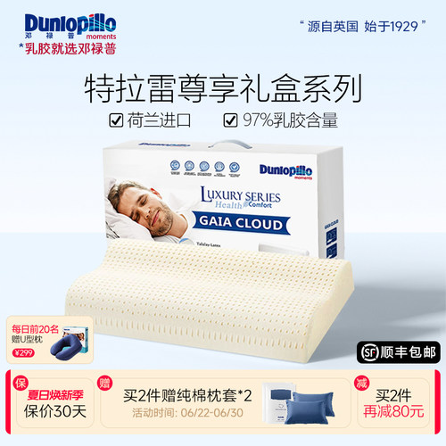 邓禄普特拉雷荷兰波浪枕