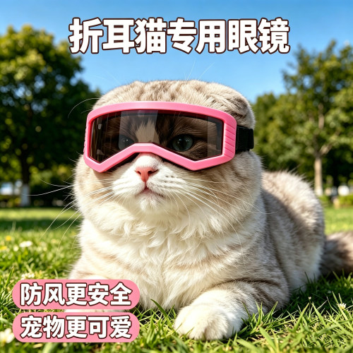 折耳猫专用猫咪眼镜宠物头盔小猫外出猫配饰小猫咪骑行戴的护目镜