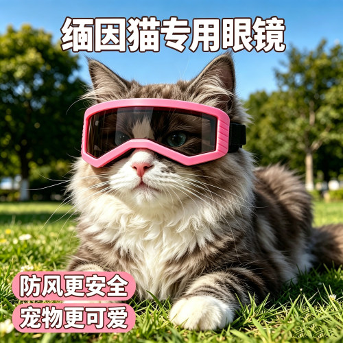 缅因猫专用猫咪眼镜宠物头盔小猫外出猫配饰小猫咪出行神器护目镜