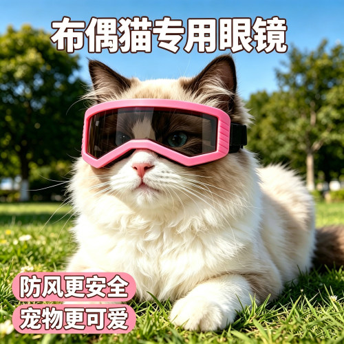 布偶猫专用猫咪眼镜宠物头盔小猫外出猫配饰猫咪佩戴饰品头饰装扮