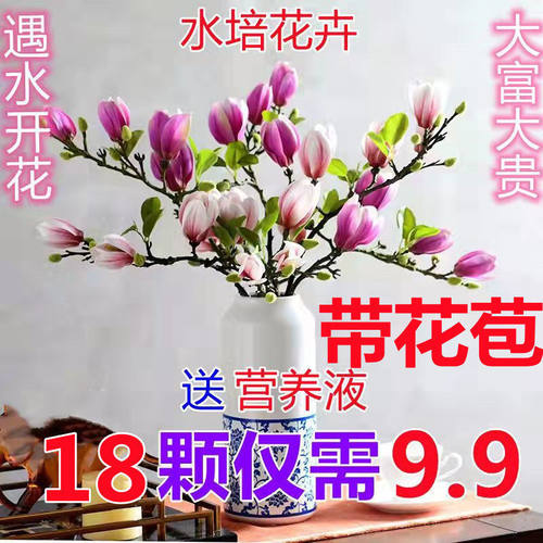 枯枝花干树枝质量怎么样 枯枝花干树枝口碑怎么样 小麦优选