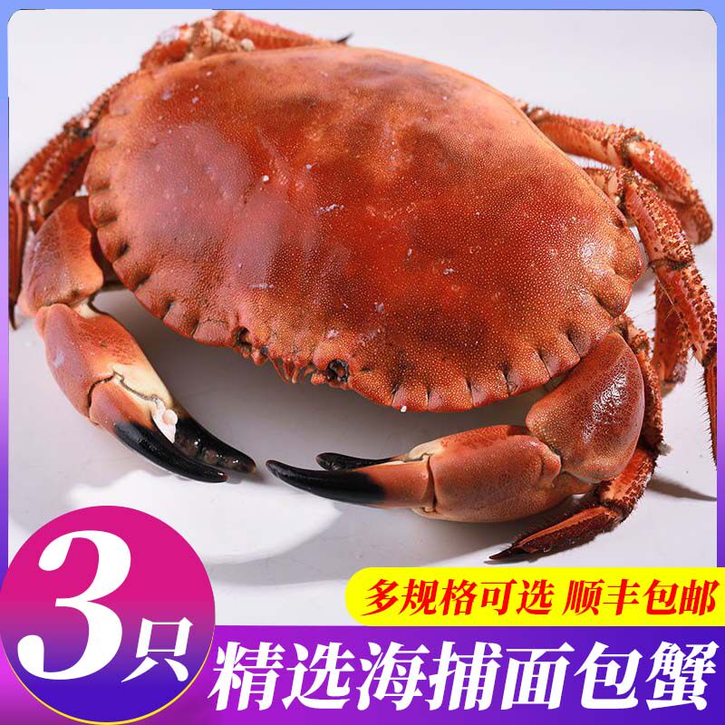 面包蟹黄金蟹鲜活生冻帝王蟹大只冷冻生梭子蟹飞蟹母螃蟹英国进口