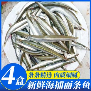 青岛面条鱼鲜活速冻银鱼新鲜小青鱼海鲜水产玉筋鱼条鱼1斤1盒顺丰