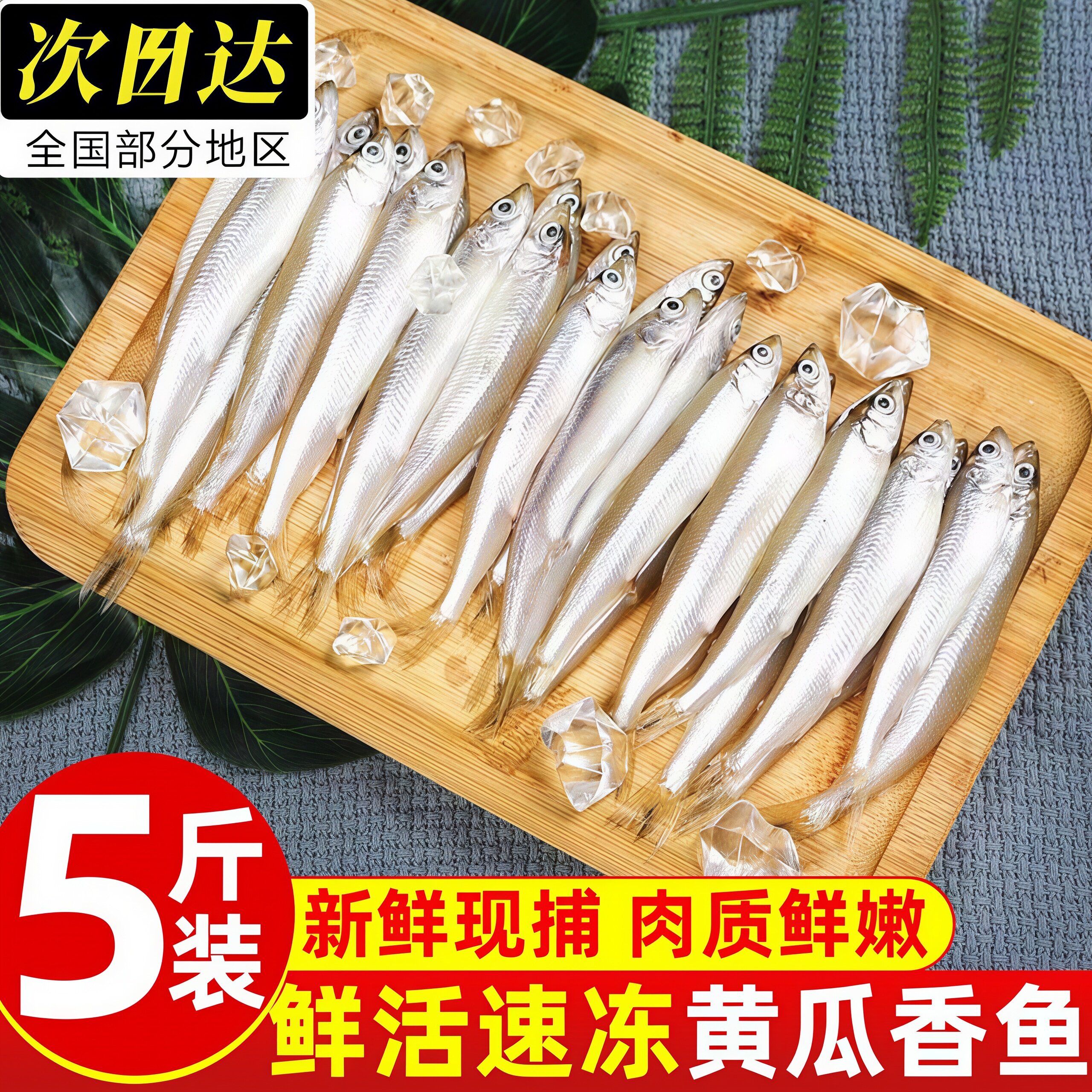 东北特产鲜活速冻公鱼商用