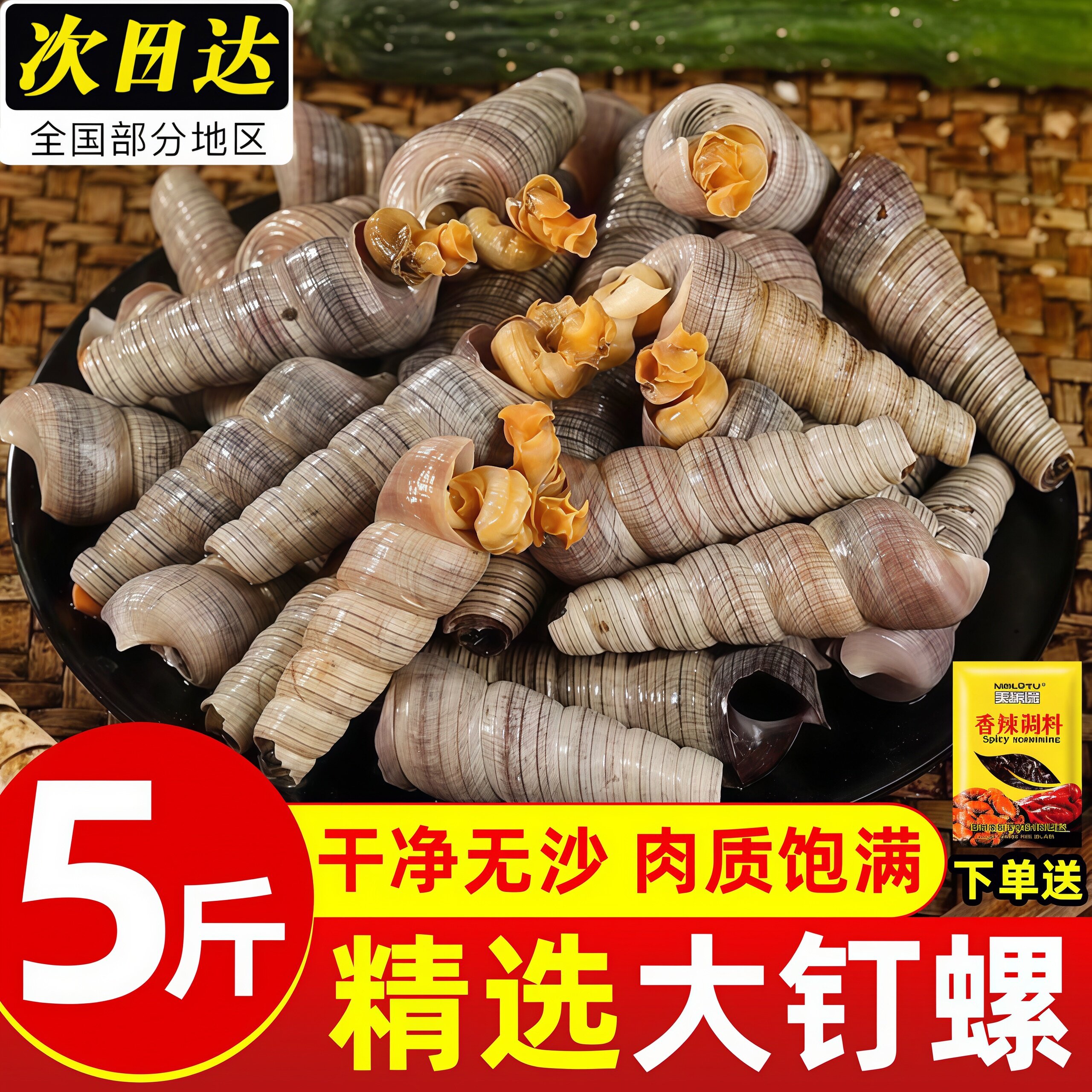 钉螺鲜活去尾大号锥螺新鲜海螺丝