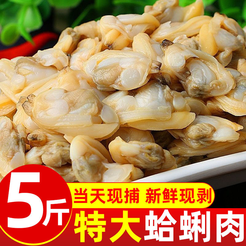 特大蛤蜊肉新鲜花甲肉鲜活现剥