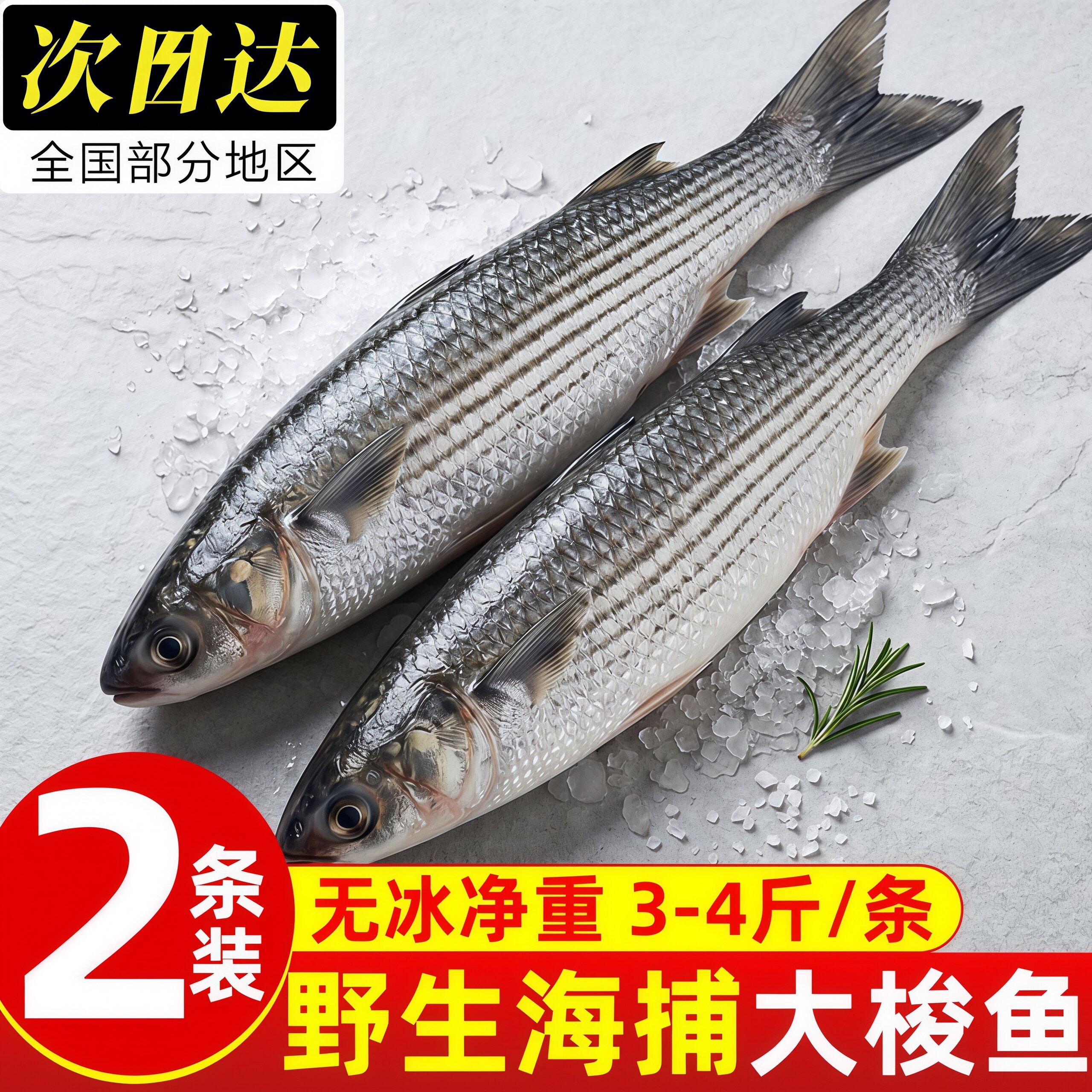 青岛海捕鲜冻整条大梭鱼