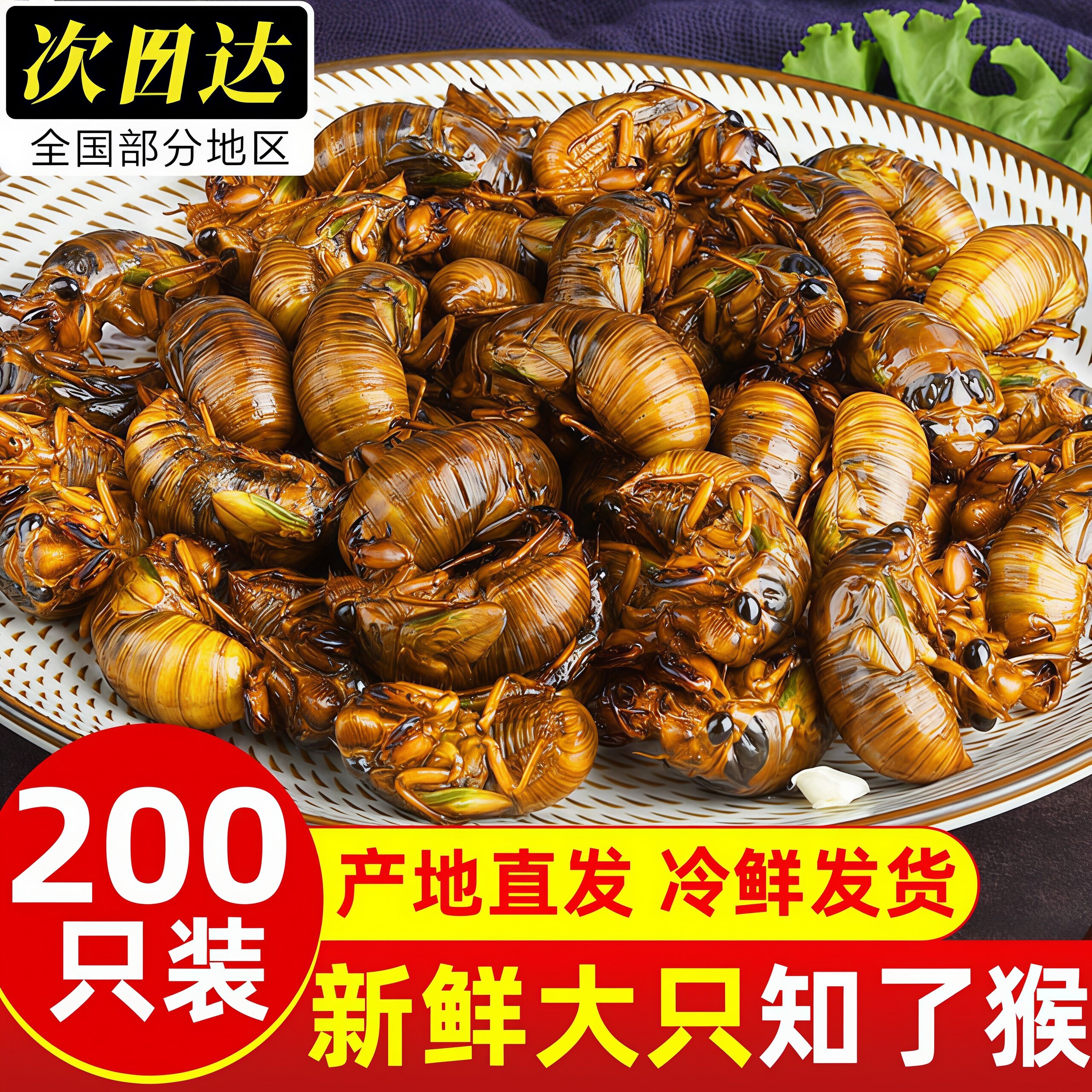 知了猴金蝉鲜活速冻商用