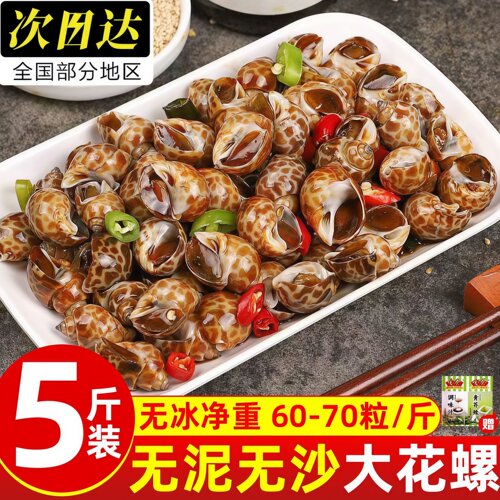 冷冻新鲜花螺东风螺捞汁商用批发