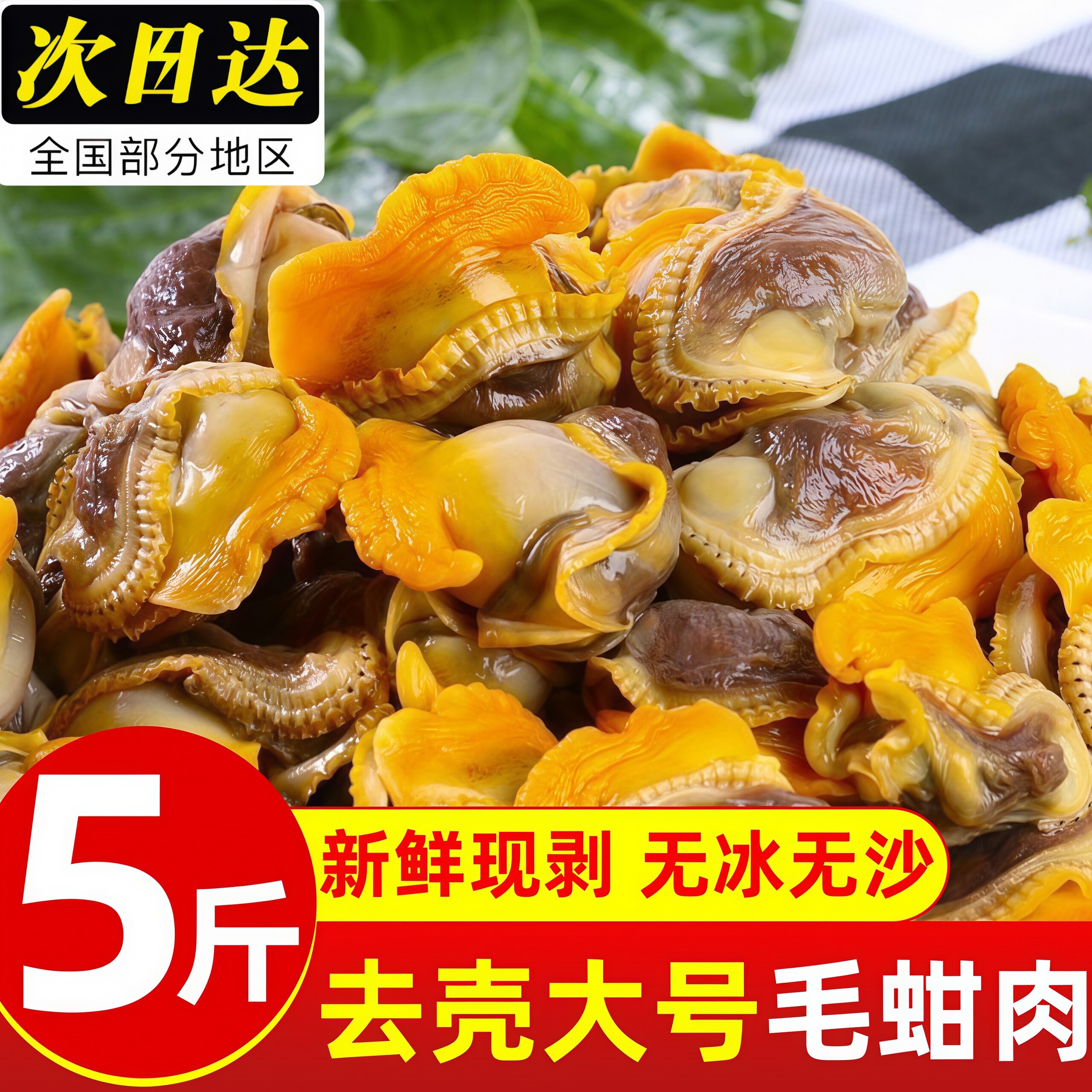 赤贝肉冷冻毛蛤蜊肉毛蚬子毛蚶