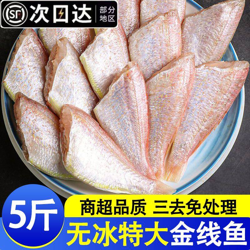 去头金线鱼新鲜冷冻海鱼金线鱼海产品海鲜鱼类红衫鱼海鱼顺丰包邮