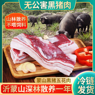 无公害沂蒙山新鲜土猪肉黑猪肉瘦肉农家生态散养现杀非冷冻五花肉