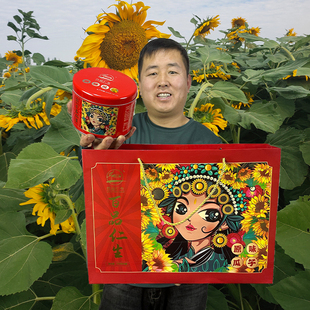 百品仁生内蒙古五原大瓜子礼盒装新货大颗粒363葵瓜子葵花子包邮