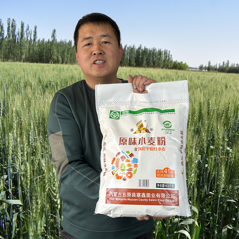 鑫乐原味小麦粉内蒙古河套面粉