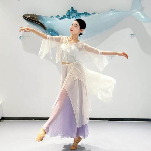 古典舞服装古风仙气鎏金纱衣飘逸大摆裙中国舞演出舞蹈练功演出服
