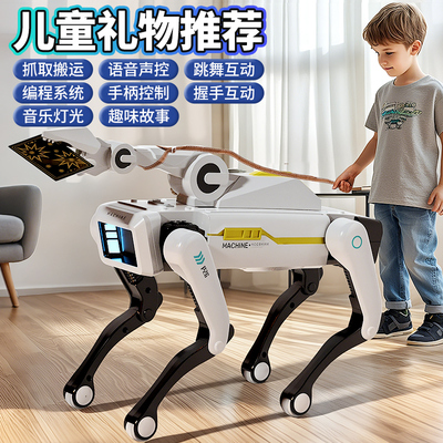 【10.升级联网】AI智能机器狗