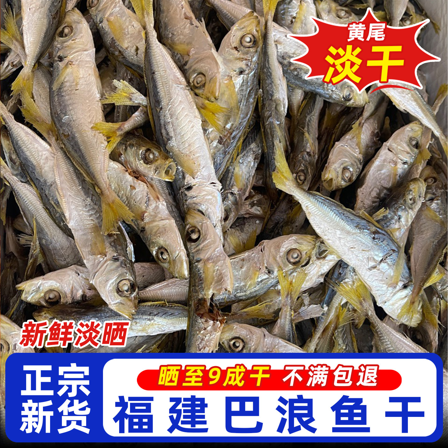 黄尾巴巴浪鱼干即食零食东山本港福建特产晾晒淡干小鱼干海鲜干货
