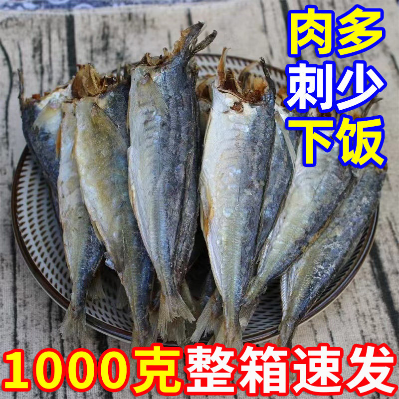 【咸香开胃】巴浪鱼干肉巴浪鱼干新鲜海捕咸鱼干一整箱速发巴浪鱼