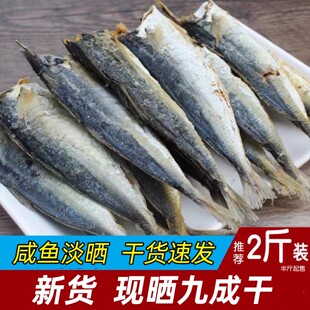 开海巴浪鱼干花鳀鱼干新鲜小鱼干肉块咸鱼干干鱼干货 咸香下饭