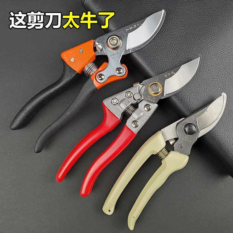 园艺剪刀果树剪修枝修树枝专用花艺枝剪子剪枝园林工具花剪修枝剪,五金/工具,园艺剪,淘宝优惠券,粉丝福利购,淘宝优惠卷