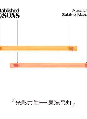 英国Established Sons Aura Light果冻吊灯装饰餐厅卧室长条灯