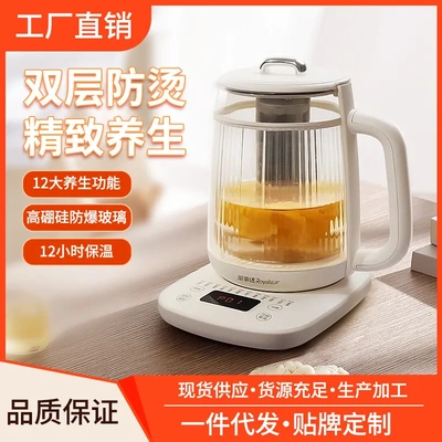 厂家多功能办公室烧水壶家用小型玻璃煎药壶养生壶煮茶小家电礼品