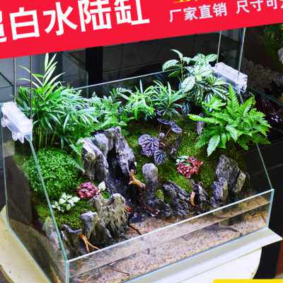 水陆缸超白 微景观草缸植物生态雨林造景鱼缸套餐水族箱 两栖鱼缸