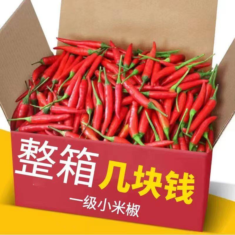 【拼购中】新鲜小米椒超辣朝天椒农家自种米椒辣0.3-9斤包邮小米,水产肉类/新鲜蔬果/熟食,辣椒,淘宝优惠券,粉丝福利购,淘宝优惠卷