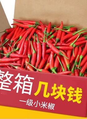 【拼购中】新鲜小米椒超辣朝天椒农家自种米椒辣0.3-9斤包邮小米