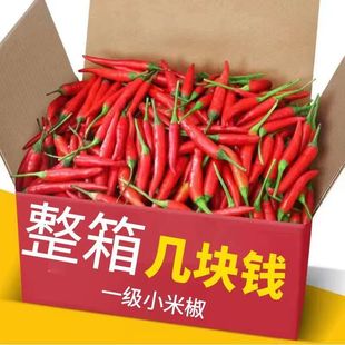 【拼购中】新鲜小米椒超辣朝天椒农家自种米椒辣0.3-9斤包邮小米