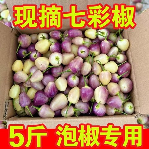 现摘七彩辣椒新鲜当季五彩椒特辣