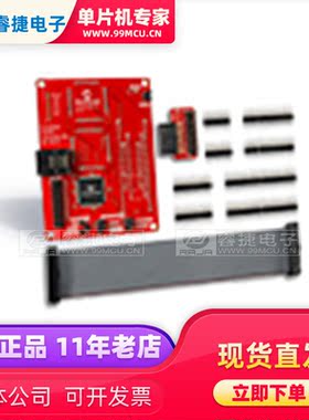 AC244065 EMULATION EXT PAK PIC16F1719-ME2 编程器 调试器 原装