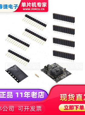 MSP-TS430RGZ48C BOARD TARGET MSP430F434X 可编程适配器 插座