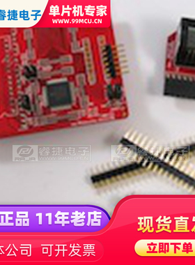 AC244036 IC EXTENSION PAK PIC16LF1939 调试接口模块 配件 原装