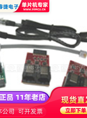 AC244002 PAK PERFORMANCE MPLAB REAL ICE 开发板 编程器 原装