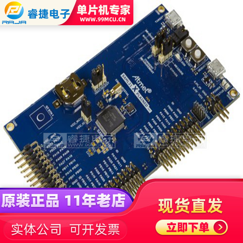 ATSAML21-XPRO-B SAM L21 XPLAINED PRO ATSAML21 嵌入式评估板