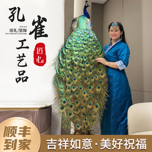 孔雀标本拍摄道具教学落地摆件